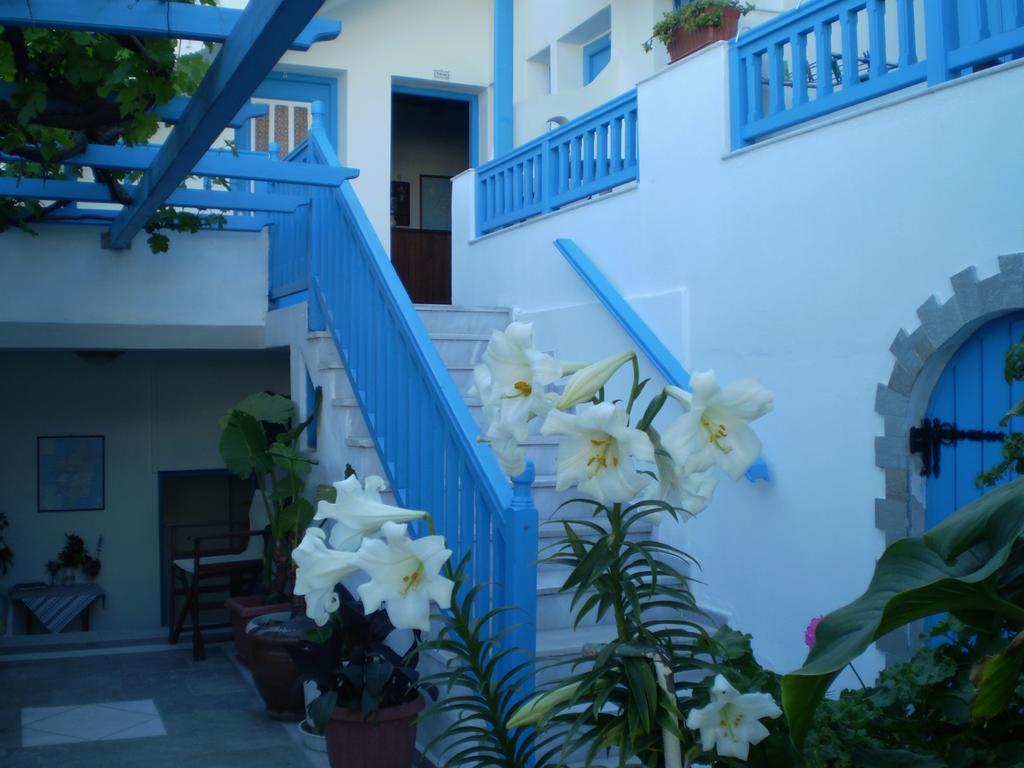 Naxos City Hotel Anixis מראה חיצוני תמונה