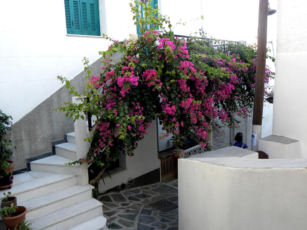 Naxos City Hotel Anixis מראה חיצוני תמונה