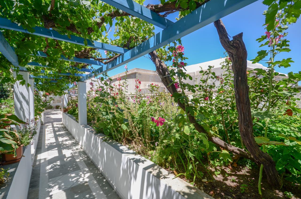 Naxos City Hotel Anixis מראה חיצוני תמונה